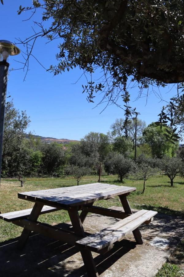 Accommodation, Serra Da Estrela - Casa Cabeco Do Barragao